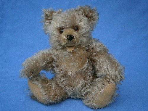 Seltener steiff teddy - ,