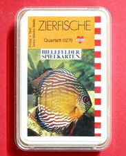 Quartett: Zierfische *