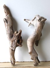 Treibholz Schwemmholz Driftwood 2   Wurzeln  Basteln Dekoration 31 - 38 cm