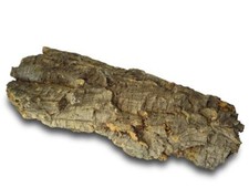 Kork Rinde: XL | 20x50 cm |