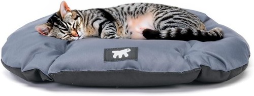 Hundekissen hundesofa - hundekissen,