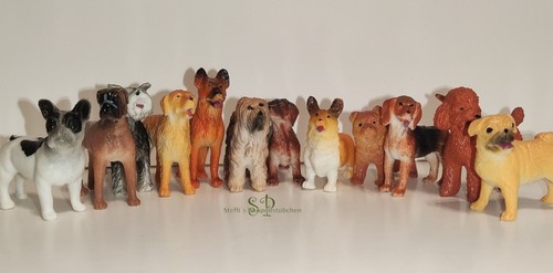 Hund - , rassen)