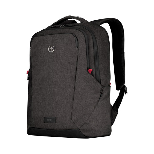 Wenger professional - wenger,