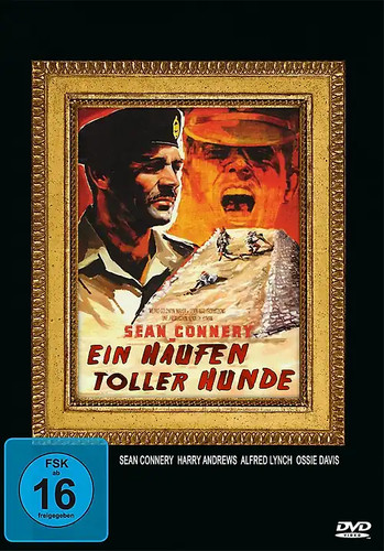 Ein haufen toller hunde - ein,