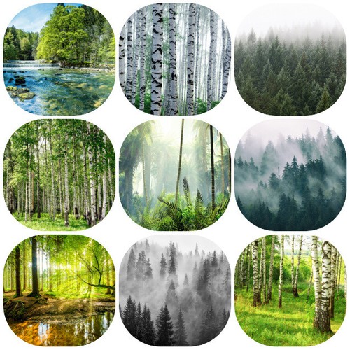 Verschiedene wald motive vlies - motive,