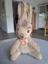 Steiff Hase, alt /rar