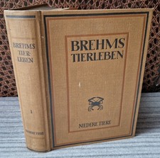 Niedere Tiere Brehms Tierleben