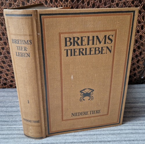 Niedere tiere brehms tierleben - niedere,
