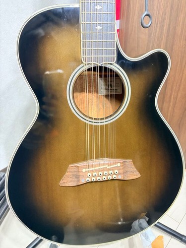 Takamine npt110 string - takamine, 12