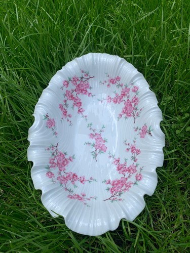 Sakura motiv schale - motiv, royal
