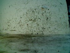 MOTOR ENGINE Volkswagen Golf