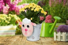 Blumentopf Scharf  Shabby Stil