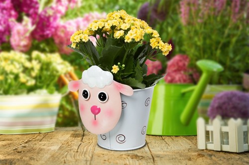 Blumentopf scharf shabby - scharf, stil