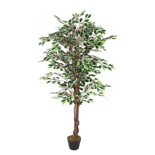 Künstlicher ficus grün - ficus,