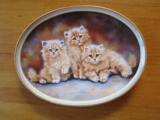 Wandteller Sammelteller Bradex