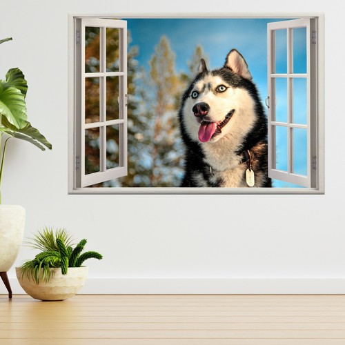 Maulkorb siberian husky hund - siberian,