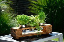 Kräuterregal Weinregal