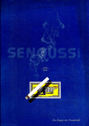 Ganzseitige