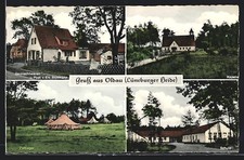 AK Oldau /Lüneb. Heide, Zeltlager, Gemischtwaren E. Rickmann, Schule 