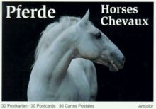 Pferde. 30 Postkarten /30