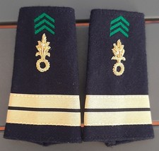 Gold bestickte Scheiden