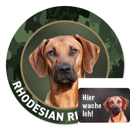 Rhodesian ridgeback - rhodesian,