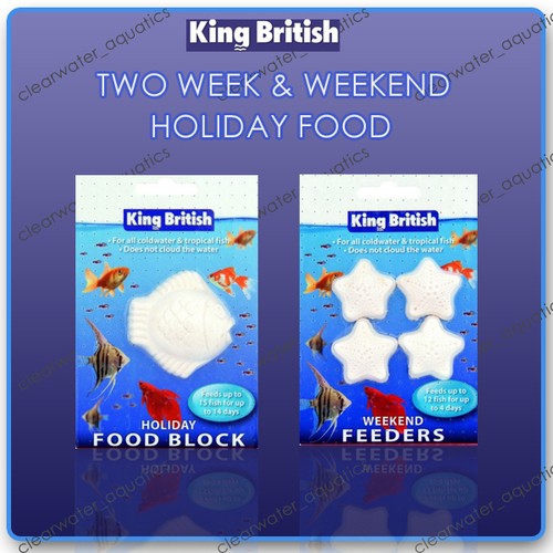 King british aquarium - king, holiday