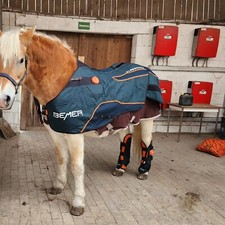 Bemer horse set - bemer,