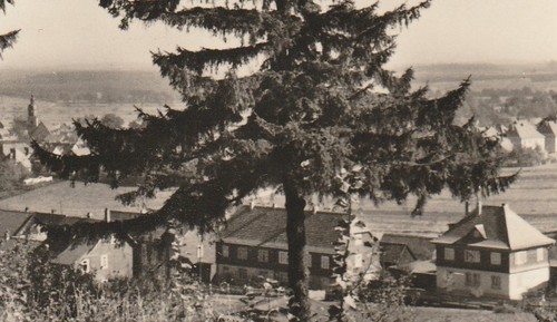 733 langewiesen - 74/733,