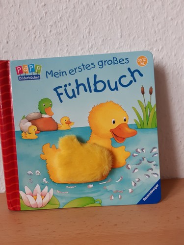 Fühlbuch baby monate - ab,
