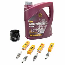 4L Öl Set Inspektion für