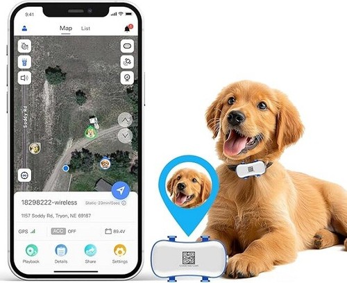 Gps hunde katzen - katzen, 4g