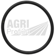 Dichtring Tankgeber für
