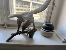 American Bald Eagle Upon