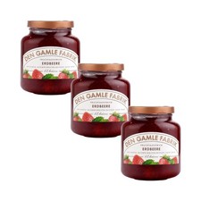 3x Den Gamle Fabrik Erdbeere