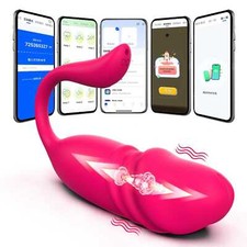 Vibro Ei Mit App Steuerung