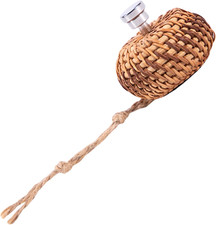 Springspinnen Terrarium