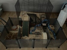 Kleintiergehege + Zubehör,Futter und Spielzeug