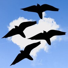 4x Vogel Aufkleber 30cm