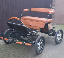 Buggy - Minishetty/Shetty - 16