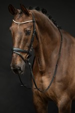 Trense Kopenhagen HKM schwarz NEU