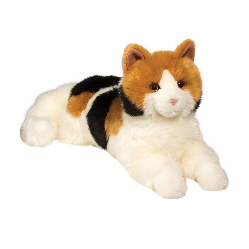 Schildpatt calico katze - schildpatt,