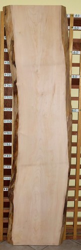 Ahorn bohle tischplatte deko - ahorn,