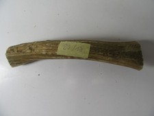 Geweihstück  Abwurfstange Hirschgeweih Hirsch Gehörn Geweih Hirschhorn