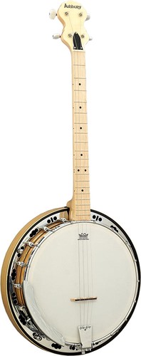 Ashbury tenor banjo - ashbury,
