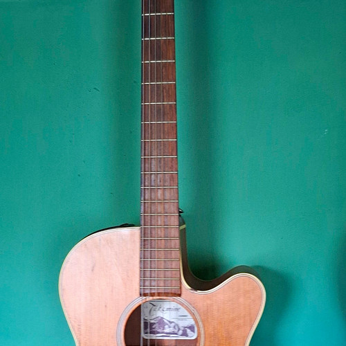 Takamine ean40c akustikgitarre - ean40c,