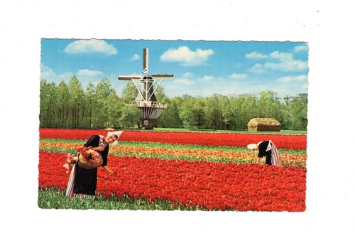 Ansichtskarte holland - ak, /