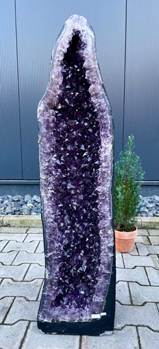 Amethyst druse geode - druse,