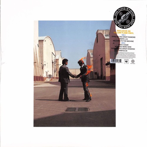 Pink floyd wish - wish, were