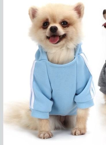 Hundepullover hellblau dog - hundepullover,